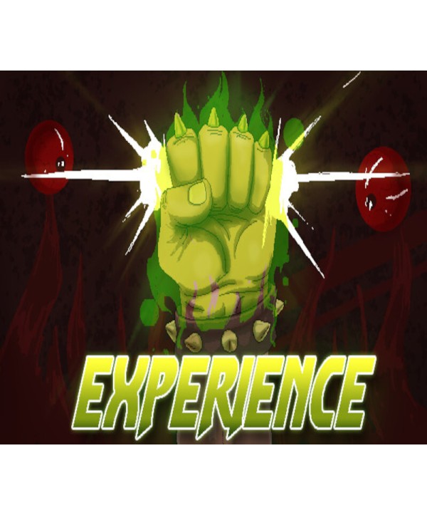 Experience 2016 Steam Key GLOBAL